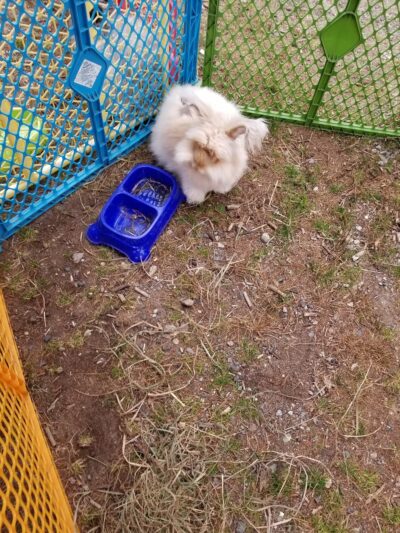 Shurtleff Park - Carver, MA