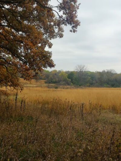 Hickory Grove Highlands Conservation Area - Cary, IL