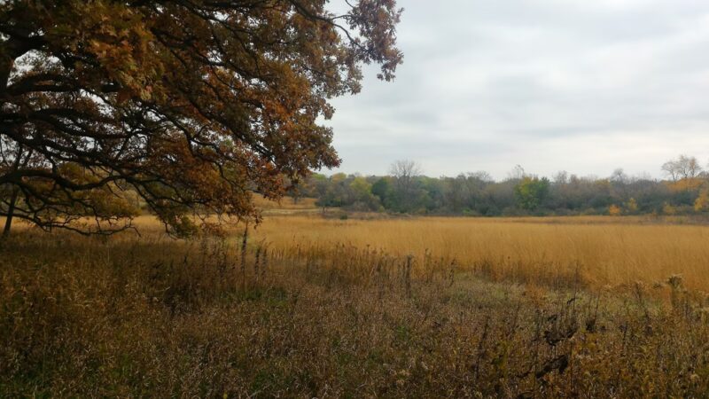 Hickory Grove Highlands Conservation Area - Cary, IL