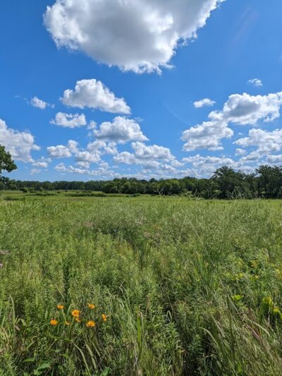 Hickory Grove Highlands Conservation Area - Cary, IL