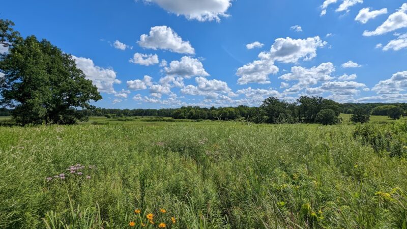 Hickory Grove Highlands Conservation Area - Cary, IL