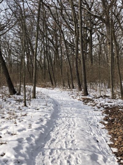 Hickory Grove Highlands Conservation Area - Cary, IL