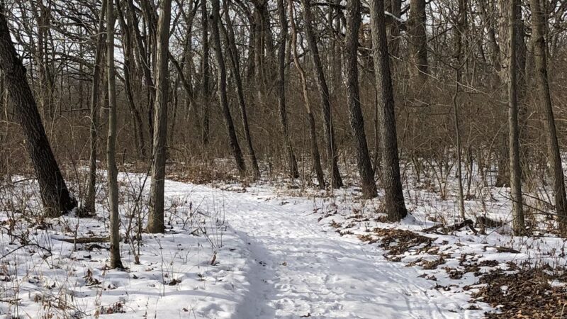 Hickory Grove Highlands Conservation Area - Cary, IL