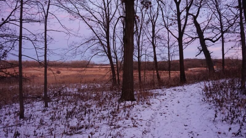 Hickory Grove Highlands Conservation Area - Cary, IL