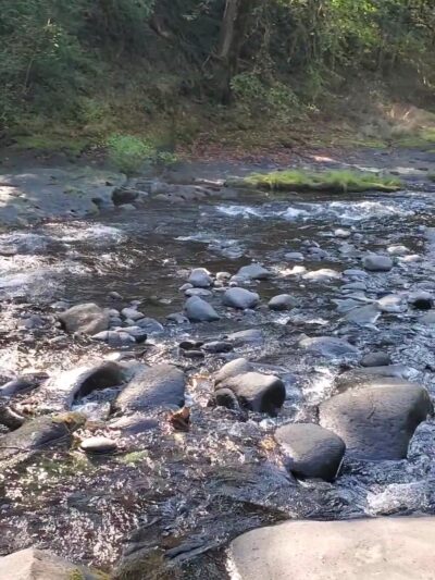 Cascadia County Park - Cascadia, OR
