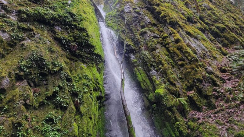 Cascadia County Park - Cascadia, OR