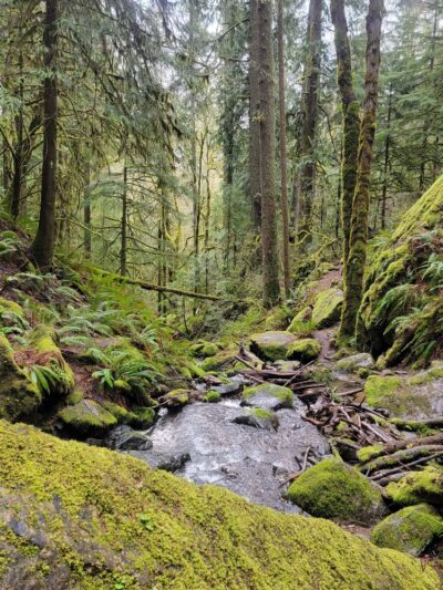 Cascadia County Park - Cascadia, OR