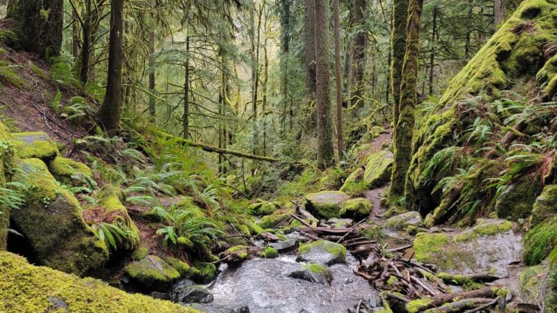 Cascadia County Park - Cascadia, OR