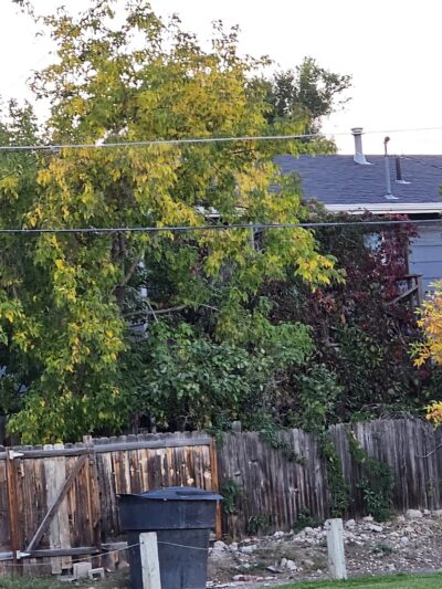 Fairdale Park - Casper, WY