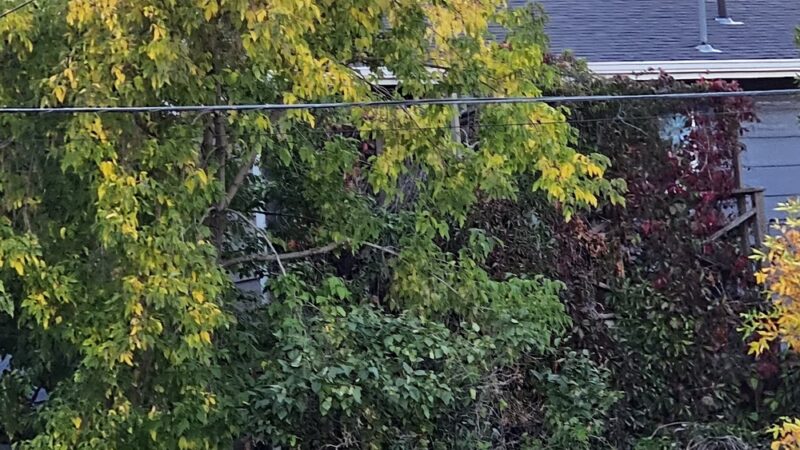 Fairdale Park - Casper, WY