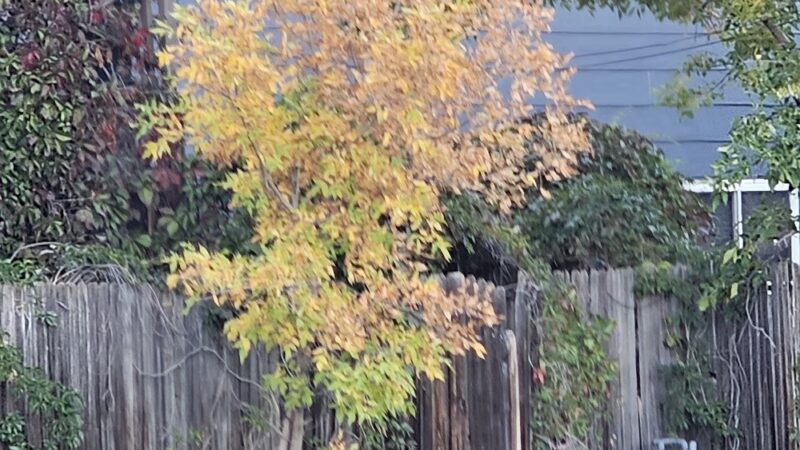 Fairdale Park - Casper, WY