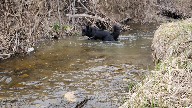 Garden Creek Park - Casper, WY