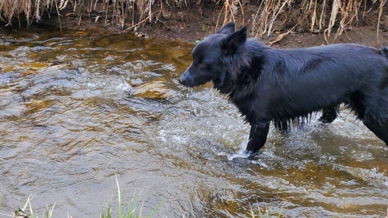 Garden Creek Park - Casper, WY