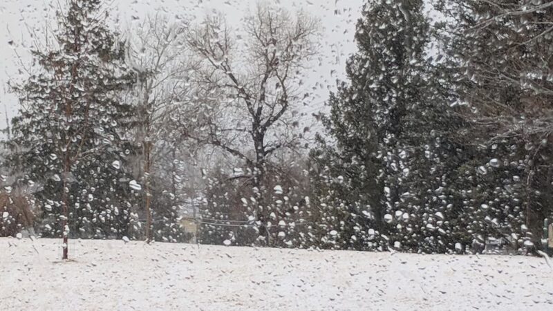 Meadow Park - Casper, WY