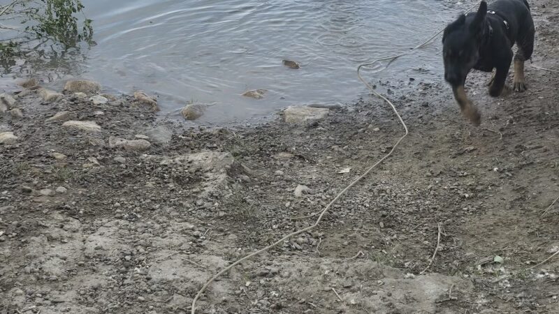Riverview Park - Casper, WY