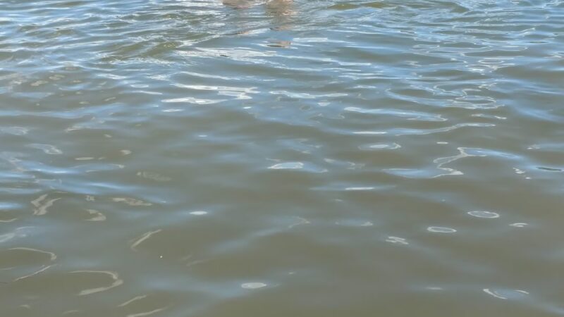 Wells Park - Casper, WY