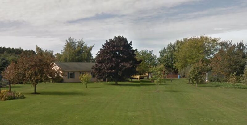 Countryside Kennels - Castile, NY