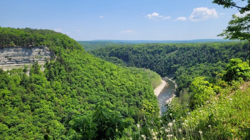Archery Field Overlook - Castile, NY