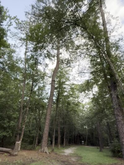 Northern Regional Park - Castle Hayne, NC