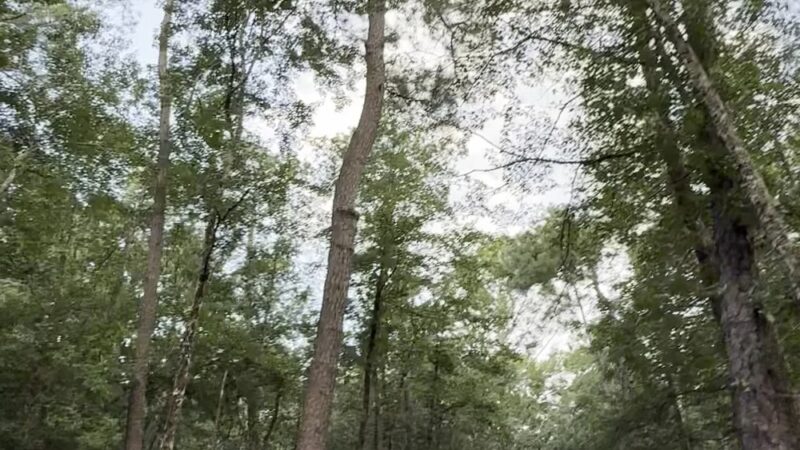 Northern Regional Park - Castle Hayne, NC