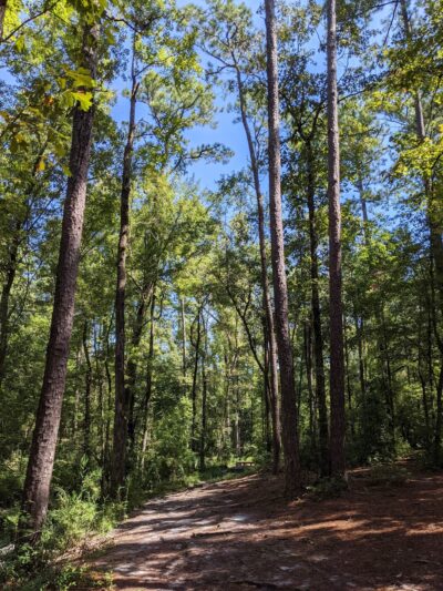 Northern Regional Park - Castle Hayne, NC
