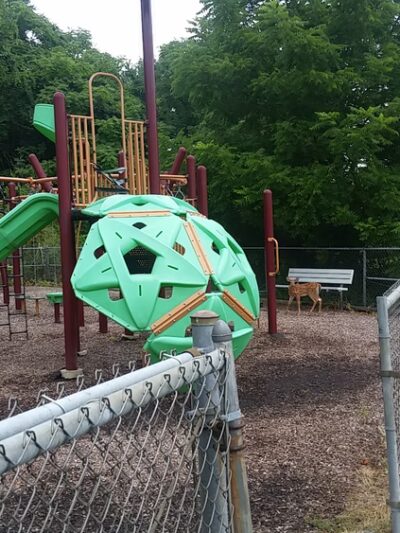 Riehl Park - Castle Shannon, PA