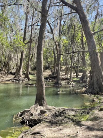 Castroville Regional Park - Castroville, TX