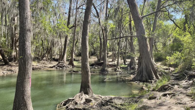 Castroville Regional Park - Castroville, TX