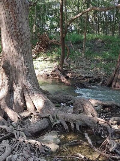 Castroville Regional Park - Castroville, TX