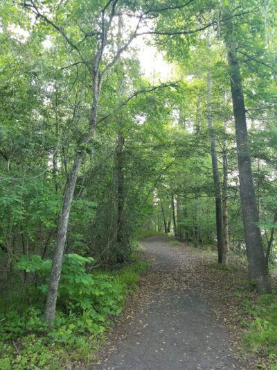Landsford Canal Trail Trailhead - Catawba, SC