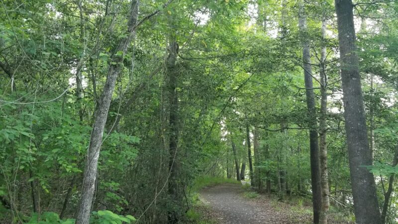 Landsford Canal Trail Trailhead - Catawba, SC