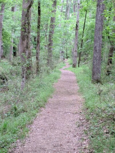 Landsford Canal Trail Trailhead - Catawba, SC
