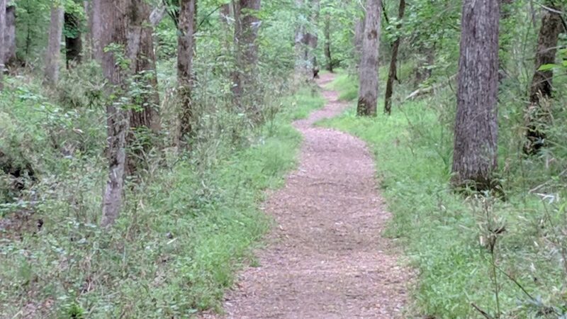 Landsford Canal Trail Trailhead - Catawba, SC
