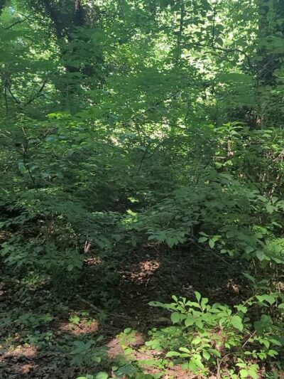 Catonsville Community Park - Catonsville, MD