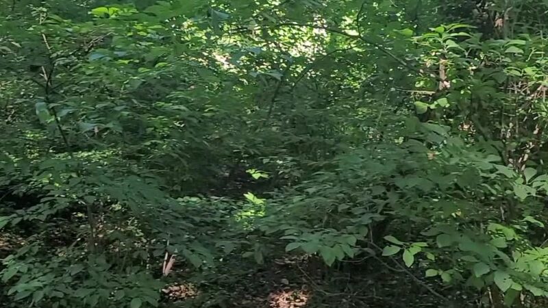 Catonsville Community Park - Catonsville, MD