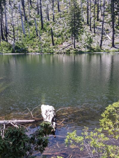 Babyfoot Lake Trailhead - Cave Junction, OR