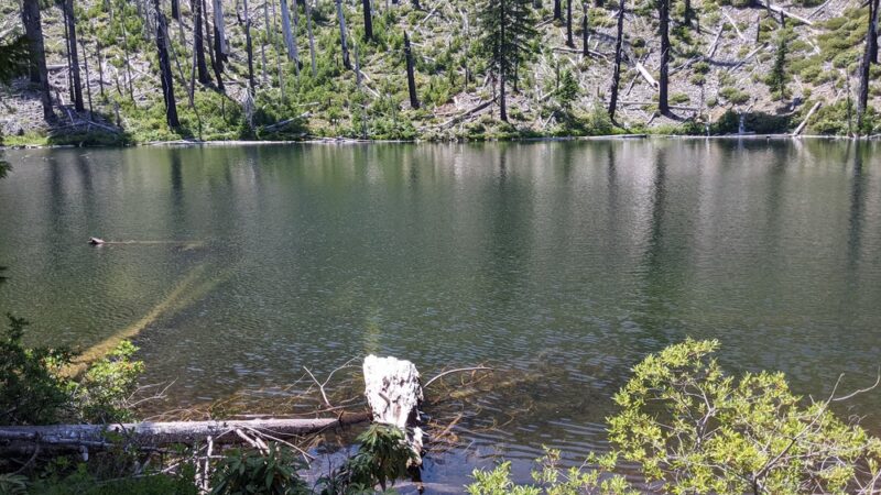 Babyfoot Lake Trailhead - Cave Junction, OR