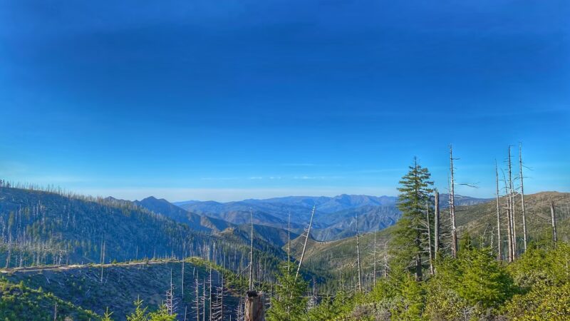 Babyfoot Lake Trailhead - Cave Junction, OR