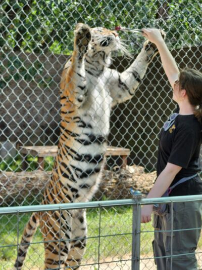 Great Cats World Park - Cave Junction, OR