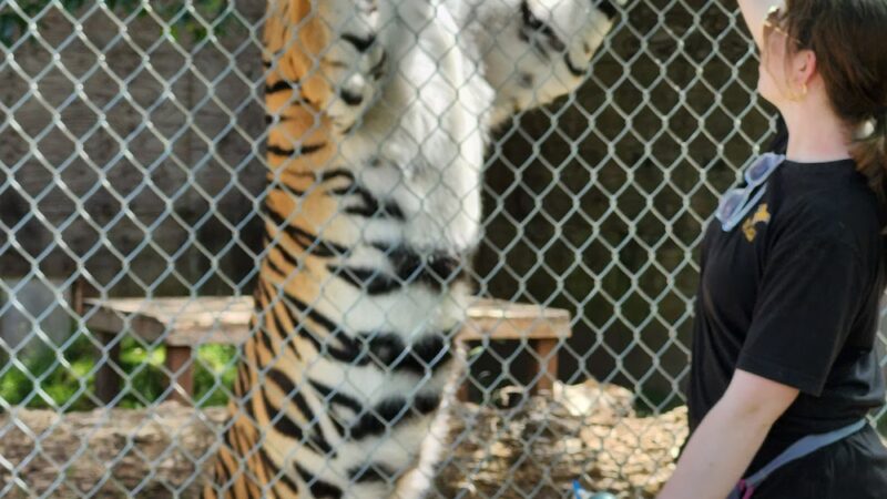 Great Cats World Park - Cave Junction, OR