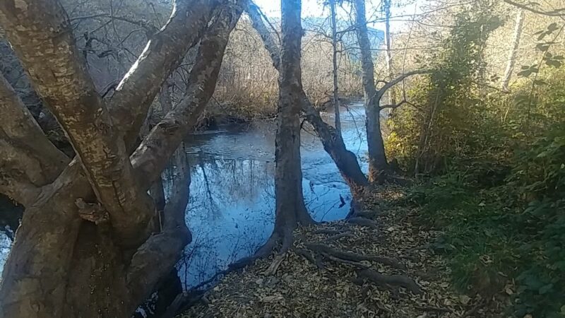 West Fork Trail System - Cave Junction, OR