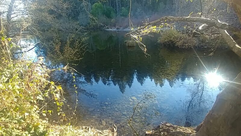 West Fork Trail System - Cave Junction, OR
