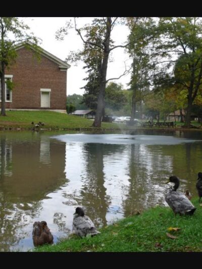 Rolater Park‎ - Cave Spring, GA