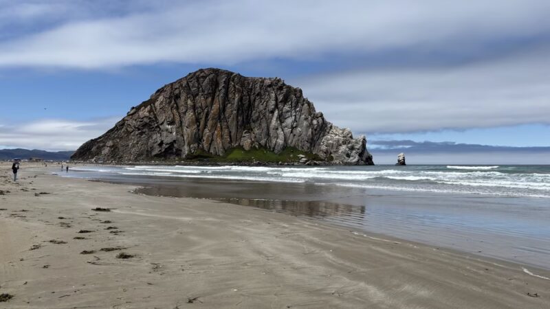Morro Bay Dog Beach - Cayucos, CA