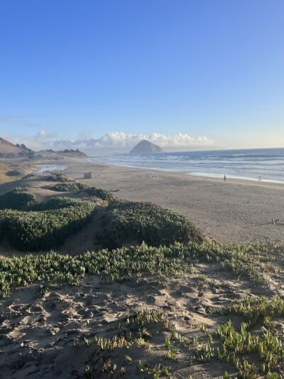 Morro Bay Dog Beach - Cayucos, CA