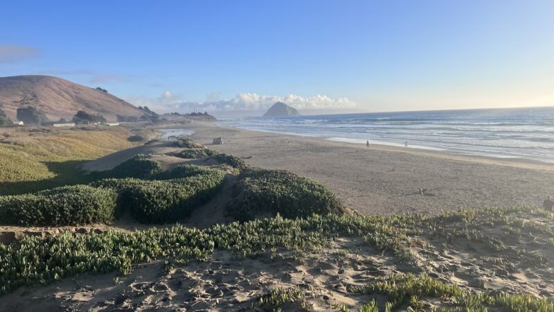 Morro Bay Dog Beach - Cayucos, CA