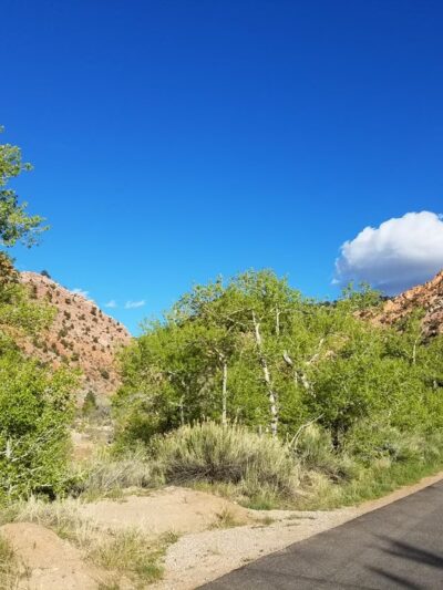 Cedar Canyon Nature Park - Cedar City, UT