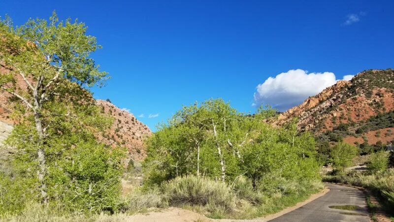 Cedar Canyon Nature Park - Cedar City, UT