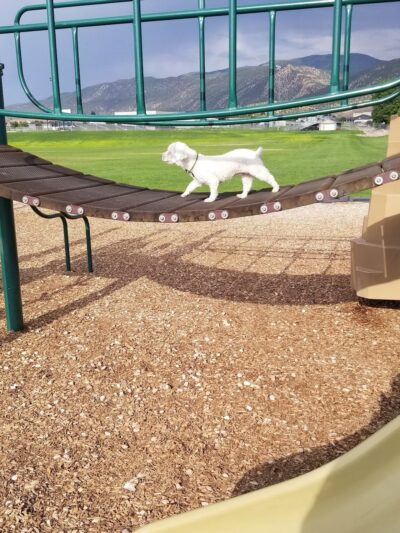 Sunbow Park - Cedar City, UT