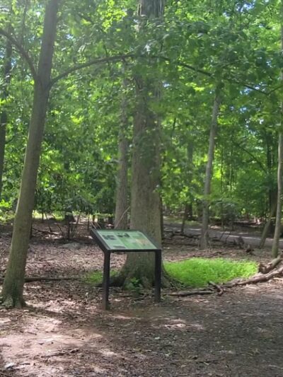 Mills Reservation - Cedar Grove, NJ